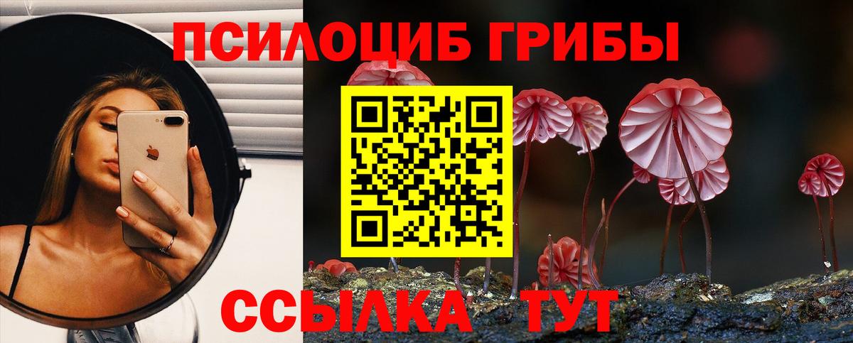 Братск  Псилоцибиновые грибы GOLDEN TEACHER  где продают наркотики  Вход с VPN 